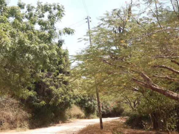 1-acre-for-sale-in-casuarina-power