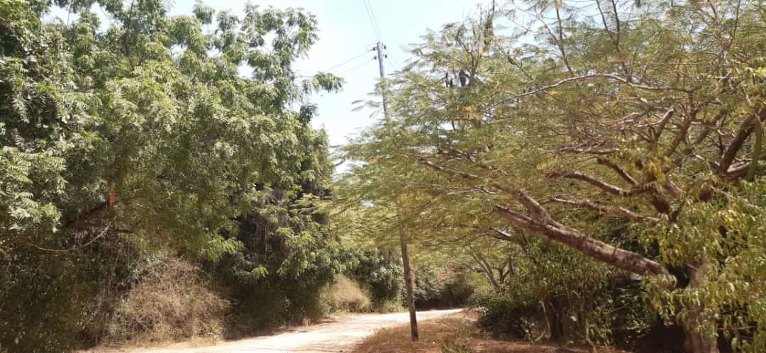 1-acre-for-sale-in-casuarina-power