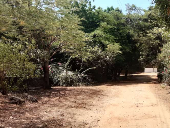 1-acre-for-sale-in-casuarina-road-frontage