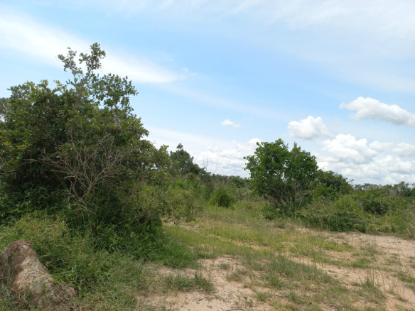 230-acres-for-sale-in-kakonini