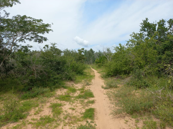 230-acres-for-sale-in-kakoneni-malindi