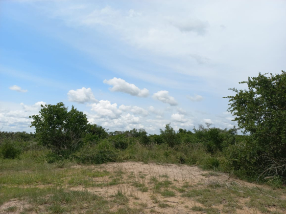 agricultural-230-acres-for-sale-in-malindi-kakoneni