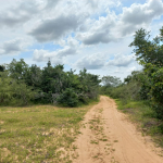 kakoneni-23o-acres-for-sale