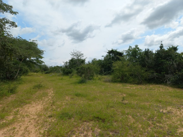 kakoneni-malindi-230-agricultural-land-for-sale