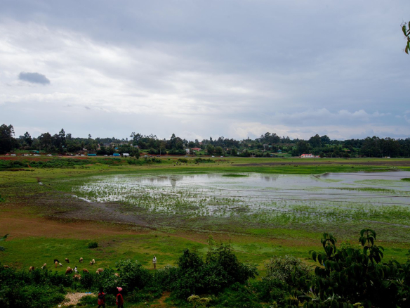 limuru-land-for-sale-next-to-manguo-swam