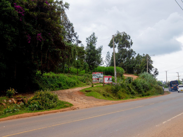 manguo-swamp-half-acre-for-sale