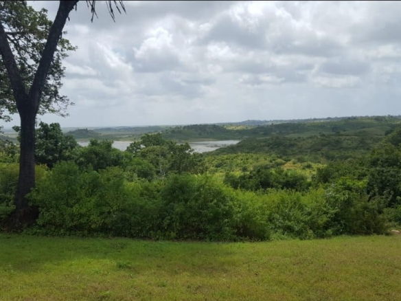 Malindi town ranch for sale