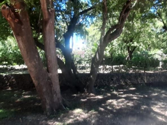 mkaazi-1-acre-for-sale-in-casuarina