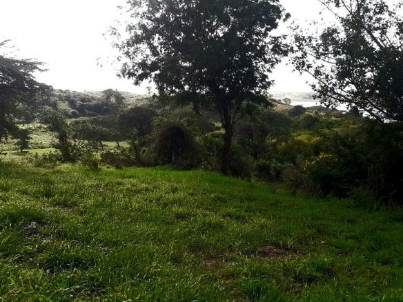 Malindi town ranch for sale