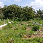 mkaazi-18th-acres-marine-park-1