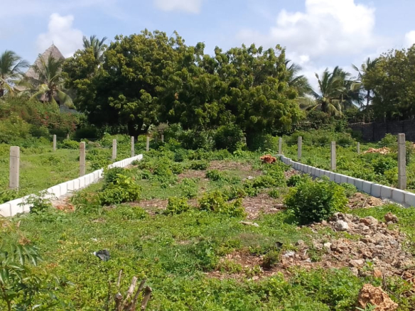 mkaazi-18th-acres-marine-park-1