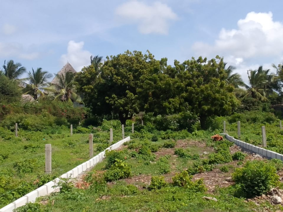 mkaazi-18th-acres-marine-park-2