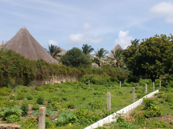 mkaazi-18th-acres-marine-park-3