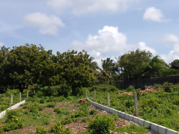 mkaazi-18th-acres-marine-park-4