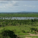 Malindi town ranch for sale