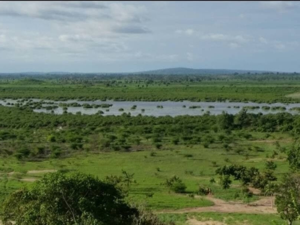 Malindi town ranch for sale