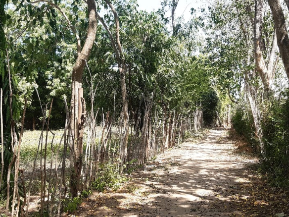 mkaazi-2-5acres-for-sale-furunzi-1