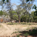 mkaazi-2-5acres-for-sale-furunzi-2