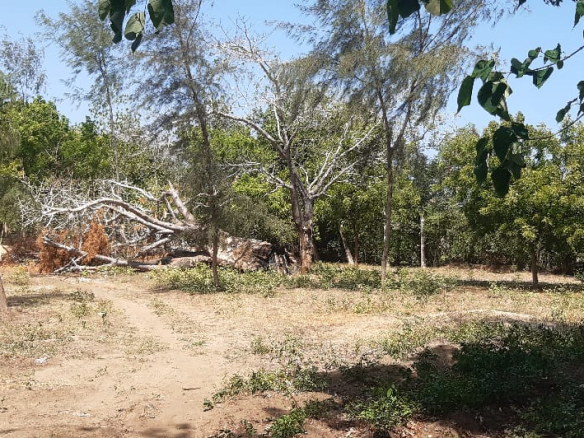 mkaazi-2-5acres-for-sale-furunzi-2