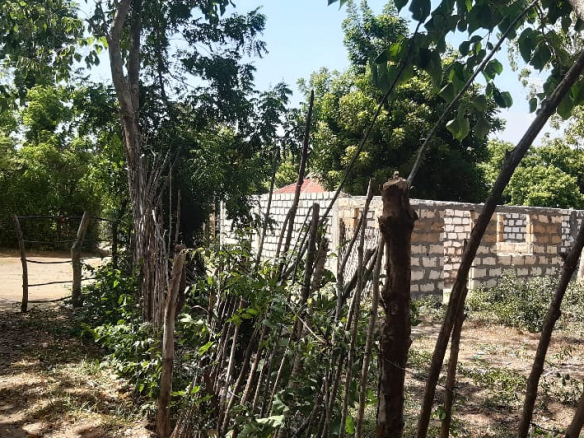 mkaazi-2-5acres-for-sale-furunzi-3