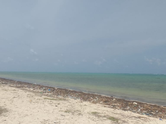 mkaazi-2nd-row-beach-plot-jacaranda-1