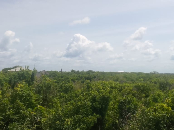 mkaazi-2nd-row-beach-plot-jacaranda-10