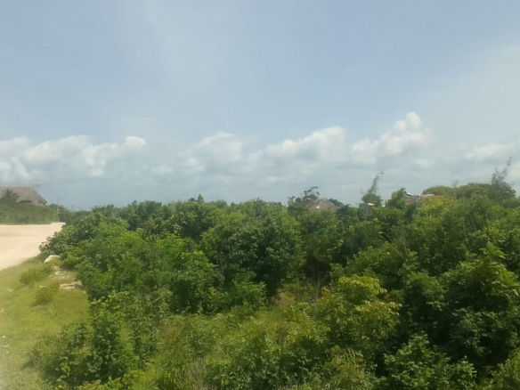 mkaazi-2nd-row-beach-plot-jacaranda-11