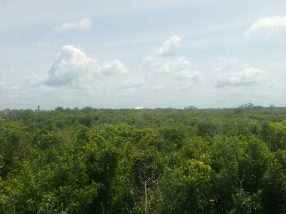 mkaazi-2nd-row-beach-plot-jacaranda-12