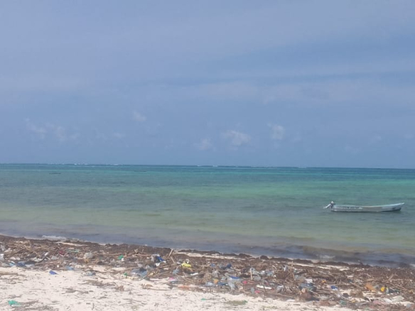 mkaazi-2nd-row-beach-plot-jacaranda-13