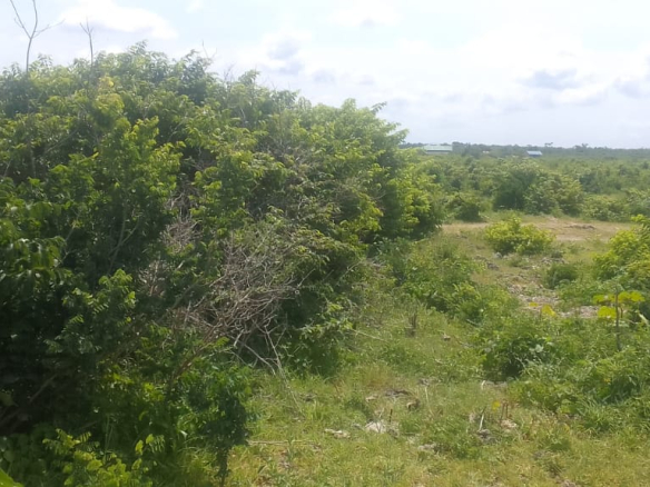 mkaazi-2nd-row-beach-plot-jacaranda-3