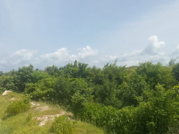 mkaazi-2nd-row-beach-plot-jacaranda-6