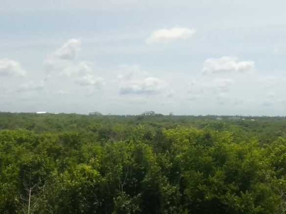 mkaazi-2nd-row-beach-plot-jacaranda-7