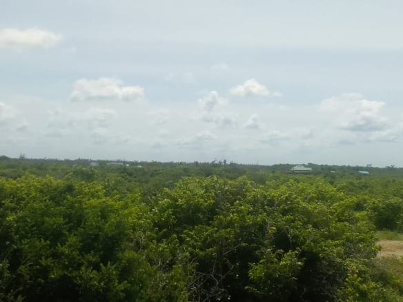 mkaazi-2nd-row-beach-plot-jacaranda-8