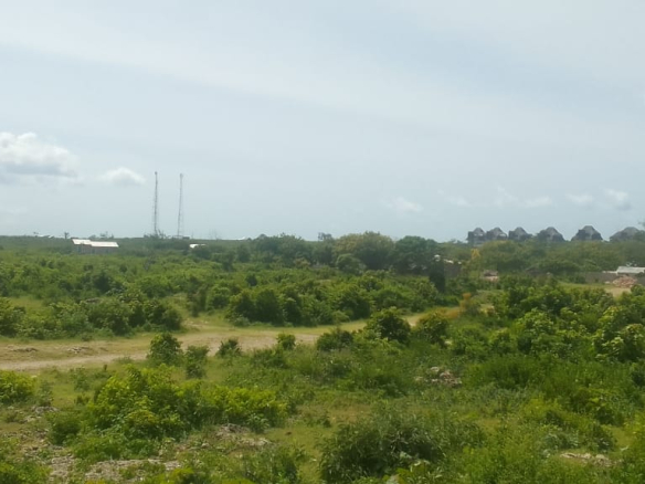 mkaazi-2nd-row-beach-plot-jacaranda-9