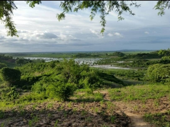 Malindi town ranch for sale