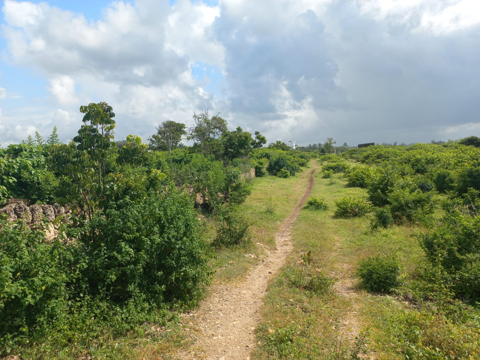 mkaazi-3-acres-watamu-2