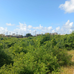 mkaazi-3-acres-watamu-3