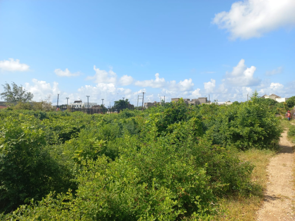 mkaazi-3-acres-watamu-3