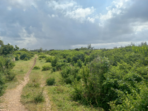 mkaazi-3-acres-watamu-6
