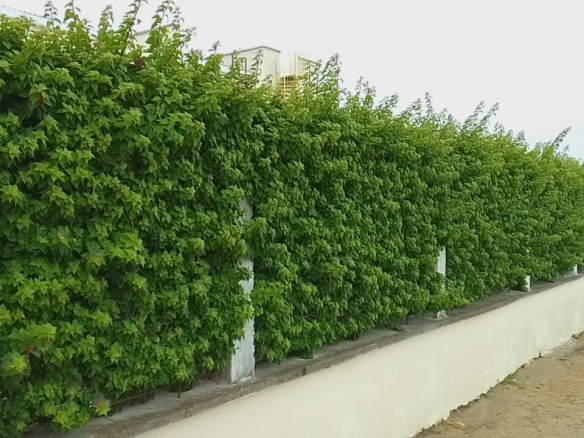 mkaazi-3br-duplex-for-sale-sabaki-9