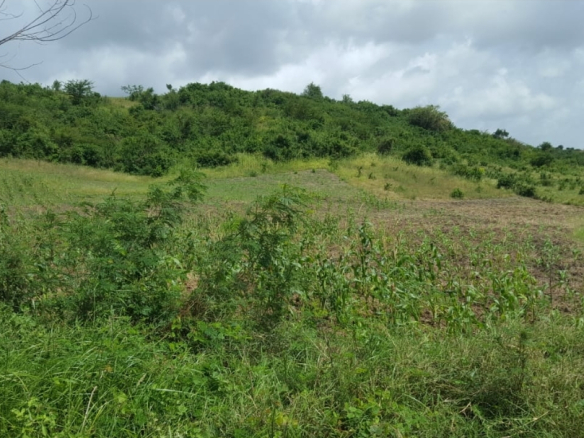 Malindi town ranch for sale