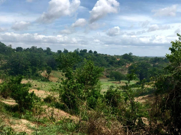 Malindi town ranch for sale