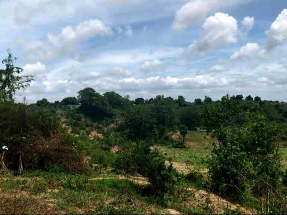 Malindi town ranch for sale