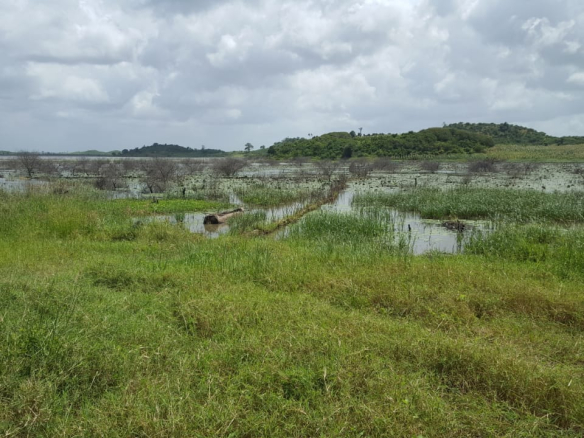 Malindi town ranch for sale