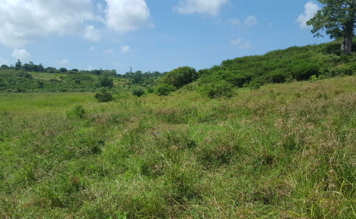 Malindi town ranch for sale