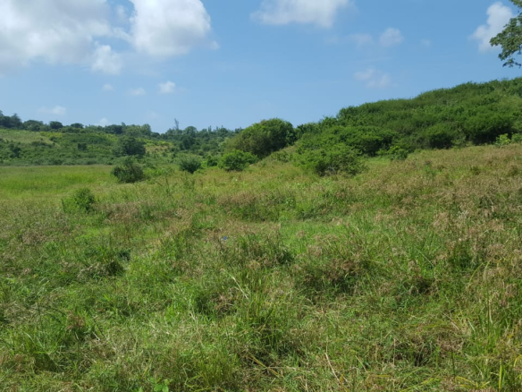 Malindi town ranch for sale