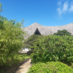 mkaazi-ivory-court-12