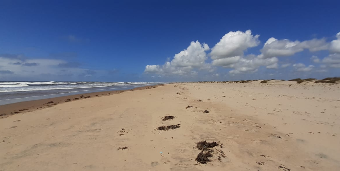 mkaazi-sandy-beach-land-in-mambrui-1