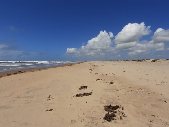mkaazi-sandy-beach-land-in-mambrui-1