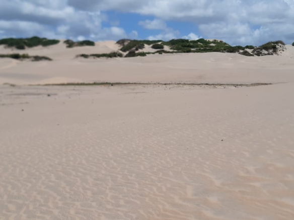 mkaazi-sandy-beach-land-in-mambrui-2